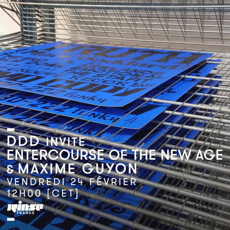 rinse-entercourse-of-the-new-age-artworks-chicago-house-maxime-guyon